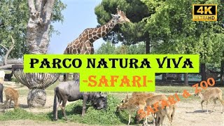 PARCO NATURA VIVA SAFARI  Verona  Safari Drive  4K  Italy [upl. by Paluas378]