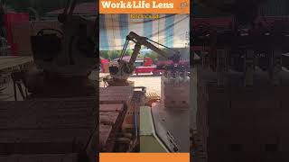 Hydraulic excavator lifts bricks with precision for efficient handling in brick factory [upl. by Lesde387]