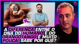 COMO ACONTECEU A EVOLUÇÃO HUMANA  PAULO JUBILUT [upl. by Kemp]