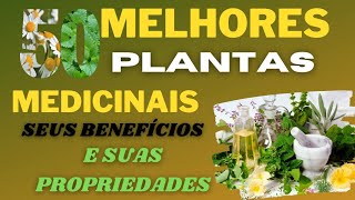 OS MELHORES 50 PLANTAS MEDICINAIS E SEUS BENEFÍCIOS E SUAS PROPRIEDADES [upl. by Aloise]