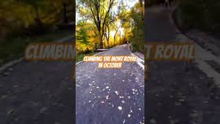 Up the Mont Royal in october climbinh hike montreal quebec canada [upl. by Grof]