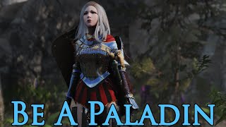 Be A Paladin  Skyrim Modlist [upl. by Collin470]