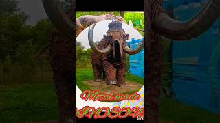 live jurassic dinosaur information news lucknow up janeshwar india trending viral shorts [upl. by Boony425]