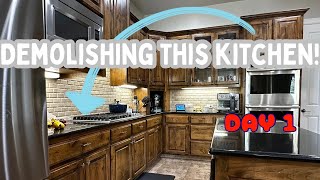 Kitchen Renovation Pt1 [upl. by Hitchcock]