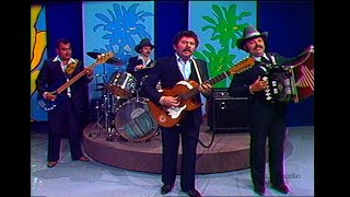 Ramon Ayala y los Bravos del Norte  quotMi golondrinaquot [upl. by Zerep]