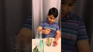 DIY Water Filter Preparation Science Experiment By Muhammad Affan [upl. by Sadella]