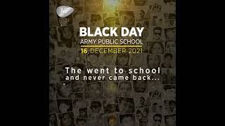 Army Public School Attack Black Day for Pakistan  Peshawar Attack [upl. by Yrram]