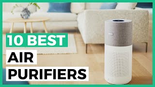 Best Air Purifiers in 2024  How to Choose a Good Air Purifier [upl. by Maia]