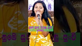 Nube Suwada Pirunu Punchi Kamare ❤️❤️  Song by Sanath Nandasiri  2023 New Song song musicvideo [upl. by Aillimat]