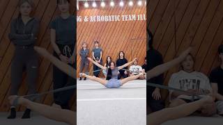 유연성 챌린지⁉️😱 Flexibility Challenge [upl. by Curry593]