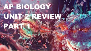 AP Biology  Cell Parts and Functions  Unit 2 Review 2023  Part 1 [upl. by Hsan32]