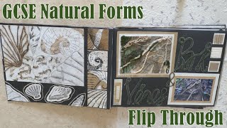 Looking back at my GCSE Natural Forms work [upl. by Boylan22]