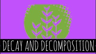 Decay and Decomposition  How Does Decay and Decomposition Work  GCSE Biology [upl. by Liliane]