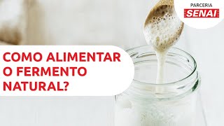 Como alimentar e fazer fermento natural – CANAL SENAIPADACON [upl. by Ogirdor]