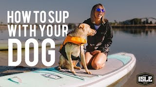 How to SUP with Your Dog [upl. by Nitniuq]