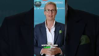 Alice Weidel  Stillstand im Parlament Wo bleibt die CDULösung [upl. by Bouldon]