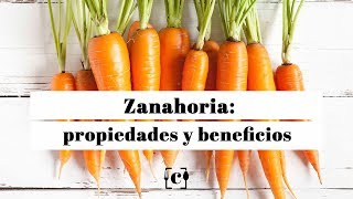 Zanahoria propiedades beneficios y valor nutricional [upl. by Culley]