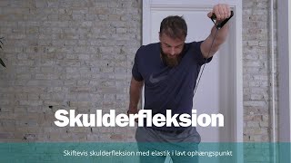 Skiftevis unilateral skulderfleksion med elastik i lavt ophængspunkt [upl. by Ariaes861]