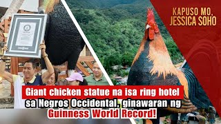 Hotel sa Negros Occidental dambuhalang manok panabong ang disenyo  Kapuso Mo Jessica Soho [upl. by Enerod]