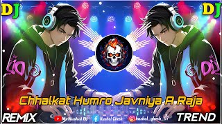 Chhalkat Humro Javniya A Raja  Dj Remix 2024❤️‍🔥 Trending Songs💗  New Dj Songs 2024  Bhojpuri Dj [upl. by Adnawuj692]