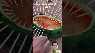 Bikin perangkap katak 😱 shorts short reaction survival primitive [upl. by Jasmina]