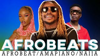 NEW AFROBEAT MIX 2024 2025  Nigeria Music 2024 New Songs  AFROBEAT TRENDING SONGS 2024 [upl. by Darryl]