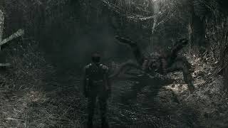 I Found Exotics Lairs Escaped Huge Tarantula [upl. by Uy20]