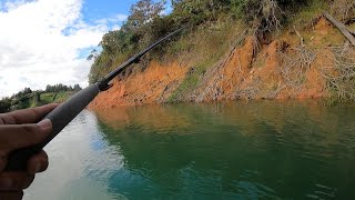 Traditional Fly Fishing vs Tenkara in a Reservoir [upl. by Bussy951]