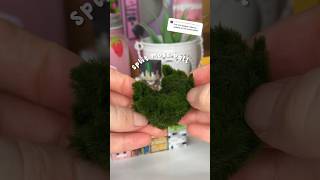 Fixing my broken pet MOSS ball 🪴 [upl. by Alolomo]