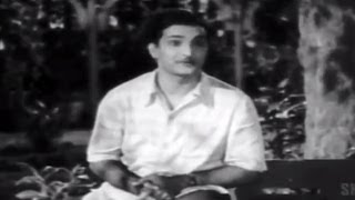 Missamma Movie  Avunante Kaadanile Video Song  NTR ANR SVR Savitri Jamuna [upl. by Eniluqcaj]