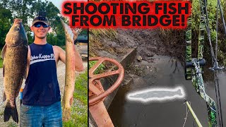 Shooting FISH From BRIDGE  BOWFISHING BONANZA [upl. by Lilybelle]