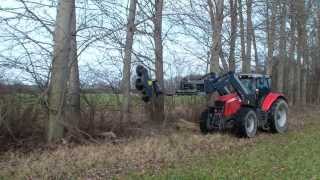 Massey Ferguson7497 mit Entastersäge im Einsatz [upl. by Squires]