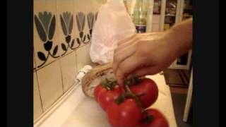 Tomato bruschetta recipe [upl. by Otrebire129]