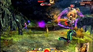 GW2 Defeat Kol Skullsmasher Group Event Harathi Hinterlands [upl. by Aerdnas13]