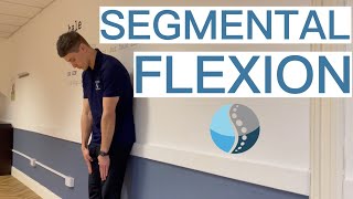 55 Segmental Flexion  Low Back Pain [upl. by Weikert42]