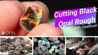 Cutting Black Opal Rough With Chris From Opal Rush [upl. by Ruenhcs]