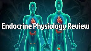 Endocrine Physiology Review updated 2023  CRASH Medical Review Series [upl. by Bailar]