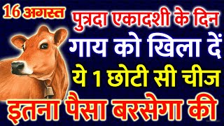 16 अगस्त पुत्रदा एकादशी के दिन गाय माता को चुपचाप से 🤫 खिला देना ये 1 छोटी सी चीज पलट जाएगी किस्मत [upl. by Oliric]