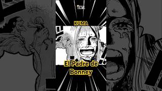 El padre de Bonney  Arco Egghead One Piece MANGA 1062  1063 [upl. by Aible]