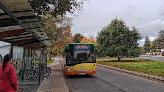 TP Bus Tarnowo Podgórne Linia 802 kierunek OgrodyopisSolaris Urbino 12lll [upl. by Ees]