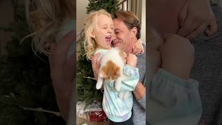 Dad gets best reaction from daughter for new kitten 🎁🐈 [upl. by Yelmene]