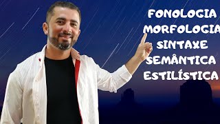 GRAMÁTICA FONOLOGIA MORFOLOGIA SINTAXE SEMÂNTICA E ESTILÍSTICA [upl. by Kee]