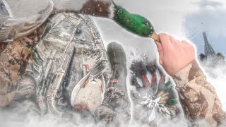 Quality Ducks After A Winter Storm  Duck Hunting 20232024 [upl. by Lokcin]