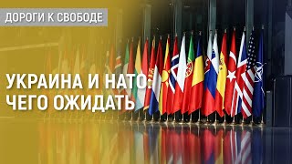 Надежды и разочарования накануне саммита в Вильнюсе [upl. by Thaddeus]