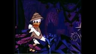 Donald au Pays des Mathémagiques 1959  Walt Disney [upl. by Letnom515]