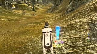 Archeage money making tips Clubhead fungus location EAST [upl. by Yorel466]