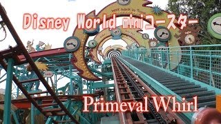 ディズニーワールドのショボい miniコースター Primeval Whirl Animal Kingdom WDW [upl. by Nya151]