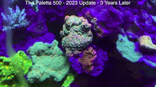 Paletta 500 Gallon Reef Tank  2023 Update  3 Years Later [upl. by Samot]