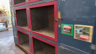 SHEFFIELD HEELEY CITY FARM TOUR PART TWO [upl. by Damicke688]