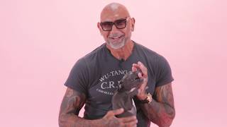 Dave Bautista The Puppy Interview [upl. by Caesar272]